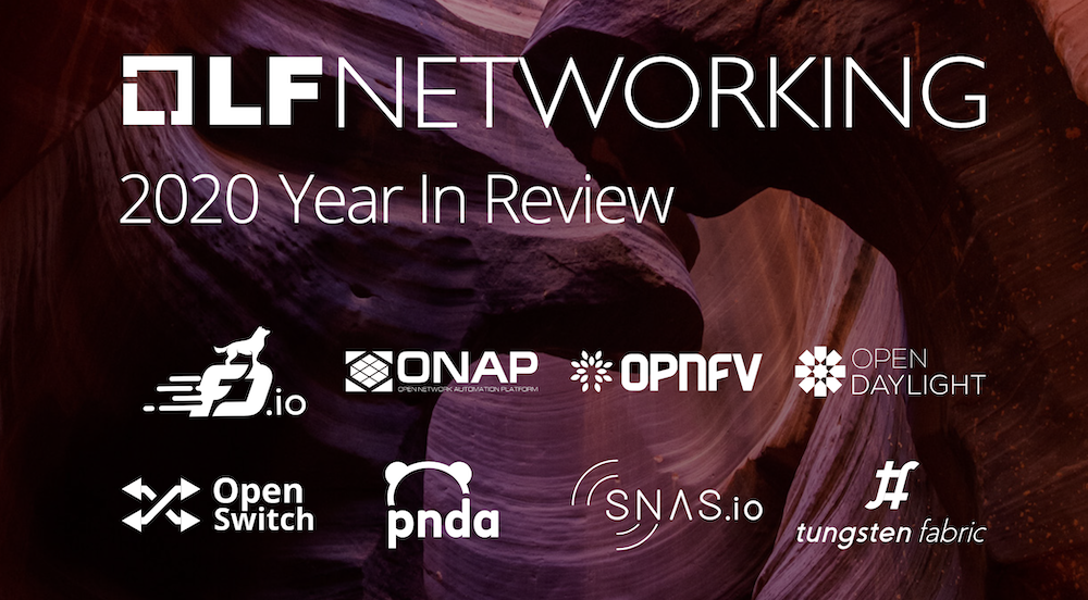 2020 LFN Year In Review Report
